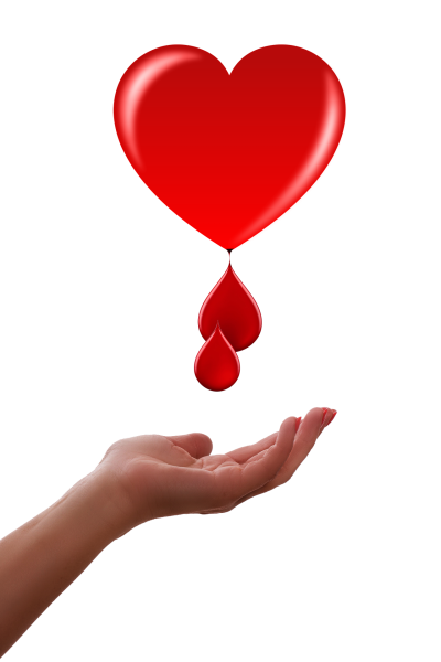 The Donation Market in France and Europe